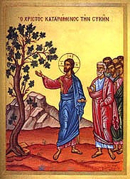 Saturday of the Twenty-ninth Week of Ordinary Time