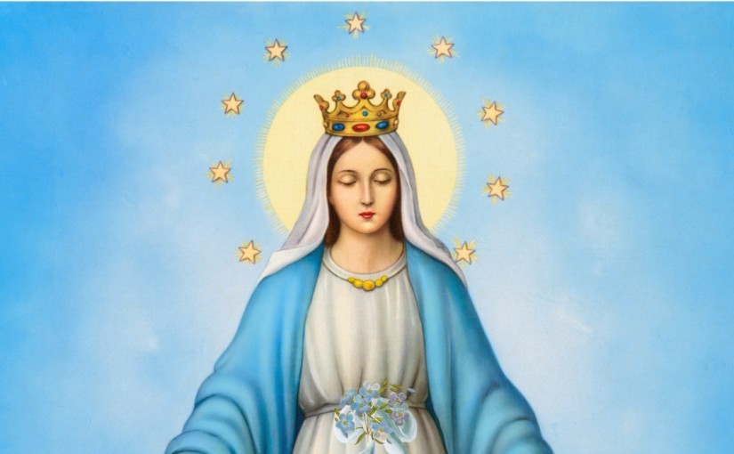 The Immaculate Conception of the Blessed Virgin Mary