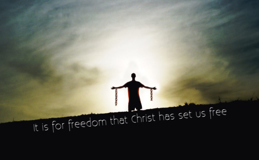 The Thirteenth Sunday of Ordinary Time: Freedom!