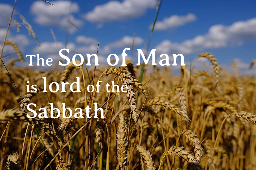 Saturday of the Twenty-second Week of Ordinary Time