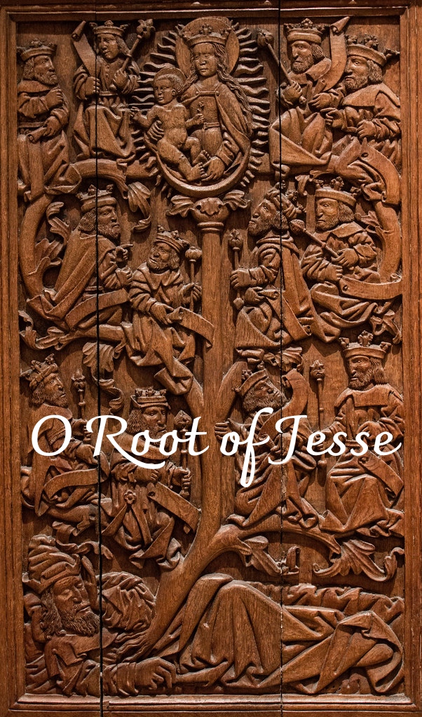 Fourth Sunday of Advent: O Root of Jesse